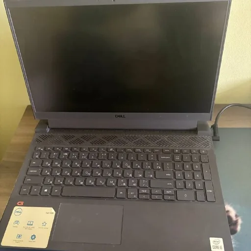 Ноутбук Dell G15 5510