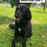 Мими ищет дом 1
