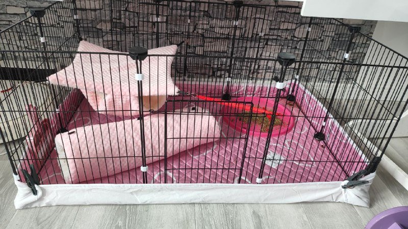 Вольер с морской свинкой и аксессуарами