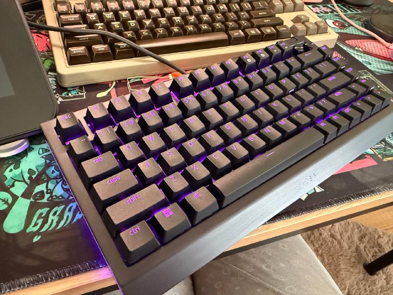 Клавиатура Razer Blackwidow v4 75% hot swap