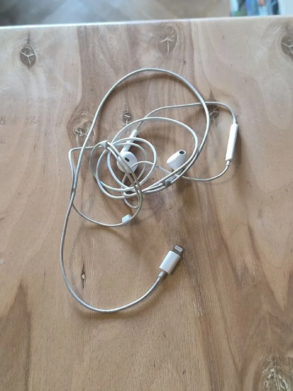 Apple AirPods with Lightning