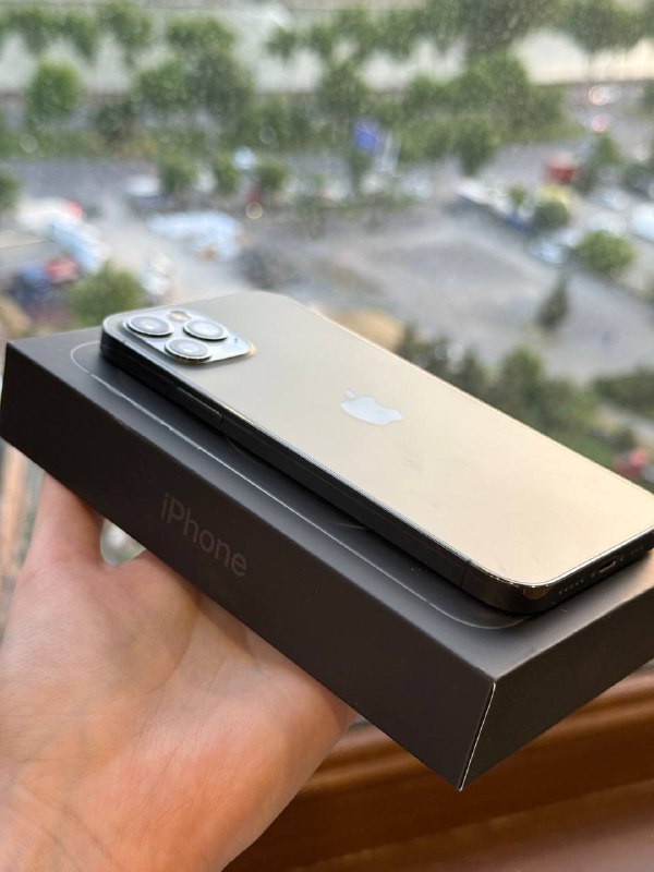 iPhone 12 Pro 256 GB