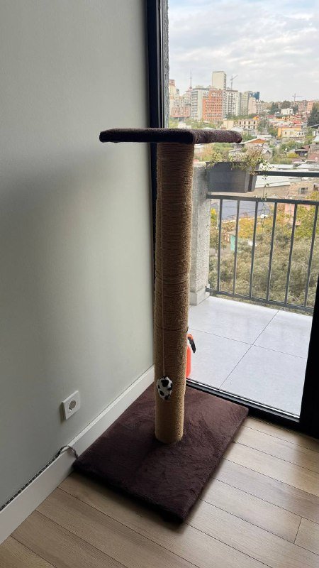 Когтеточка для котов