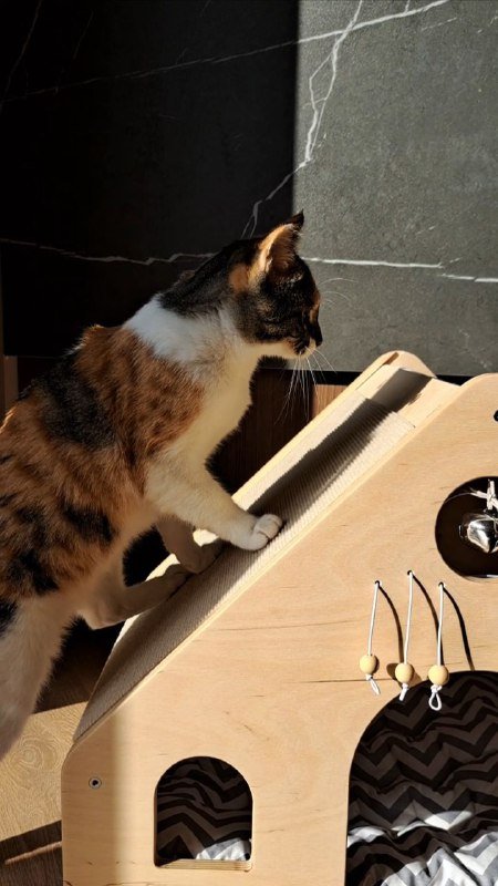 Домик для кота с когтеточкой и игрушками новый