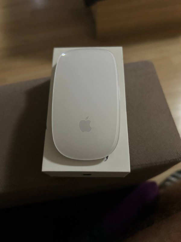 Magic Mouse 2 USB-c