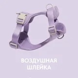Анатомическая прогулочная шлейка для собак 1