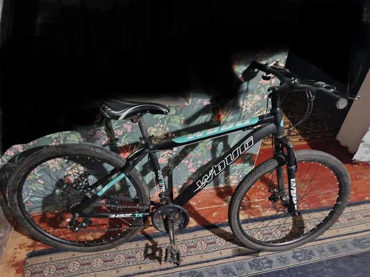 Велик со скоростями