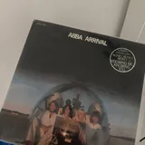 Пластинка ABBA, фигурка Малыш Йода, флористический кензан 4
