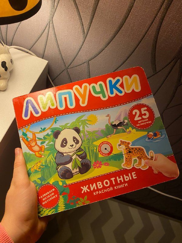 Ветровка, кофточка и книга липучки для детей 3