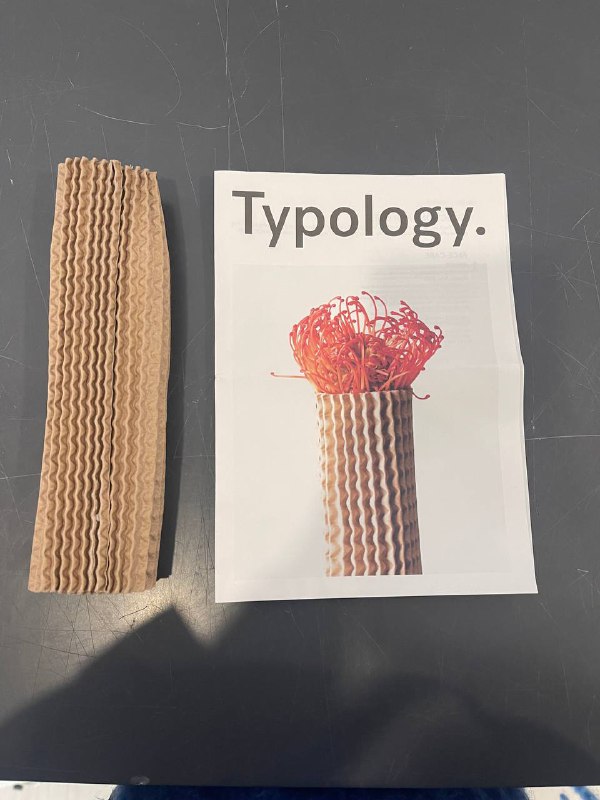Сыворотки Typology 8