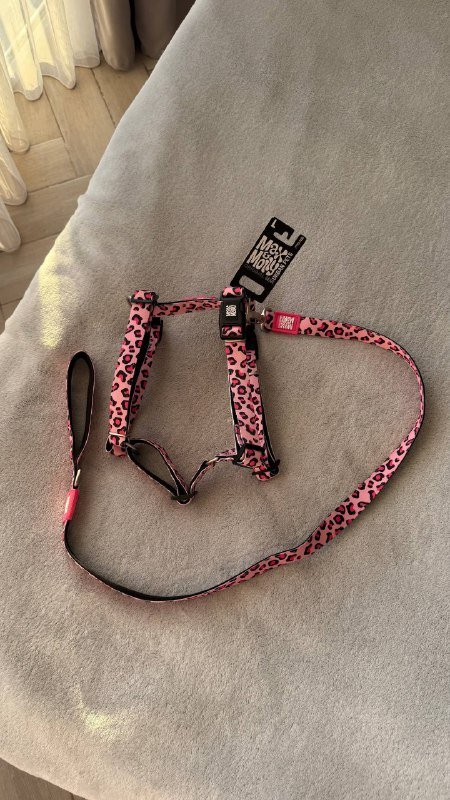 Шлейка и поводок для собаки размер L