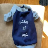 Одежда для собак, дождевик, кофточка, свитера 4