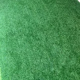 Газон 1
