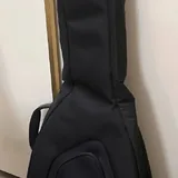 Гитара Fender FA-125CE, чехол 2