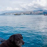 Фотоаппарат Sony Alpha NEX-5N с объективом 7