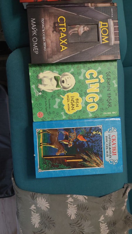 Книги на русском, книга на турецком 2