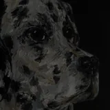 Картина маслом с далматином на черном холсте 4