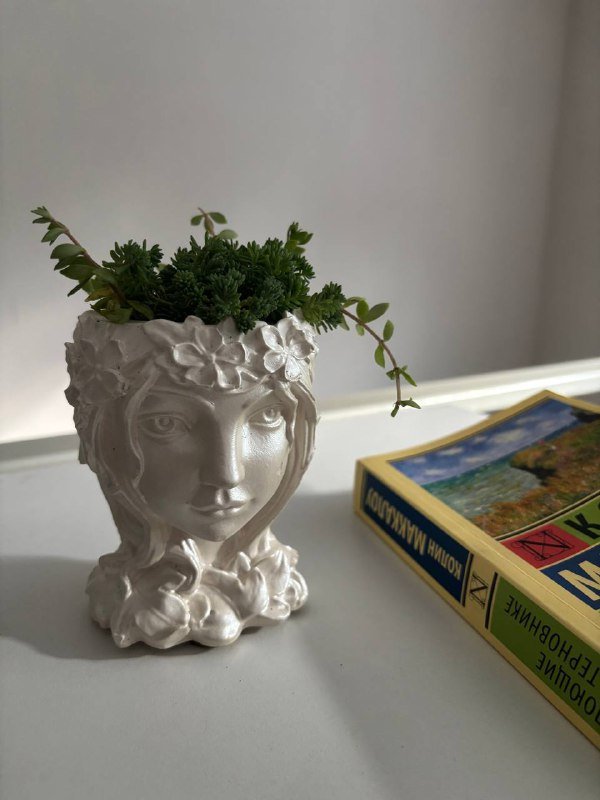 Рамка с бабочкой, корейская пенка для умывания, кашпо, ваза, пленка для MacBook Air 3