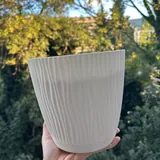 Горшки, вазы, земля, секатор, лопатка 5