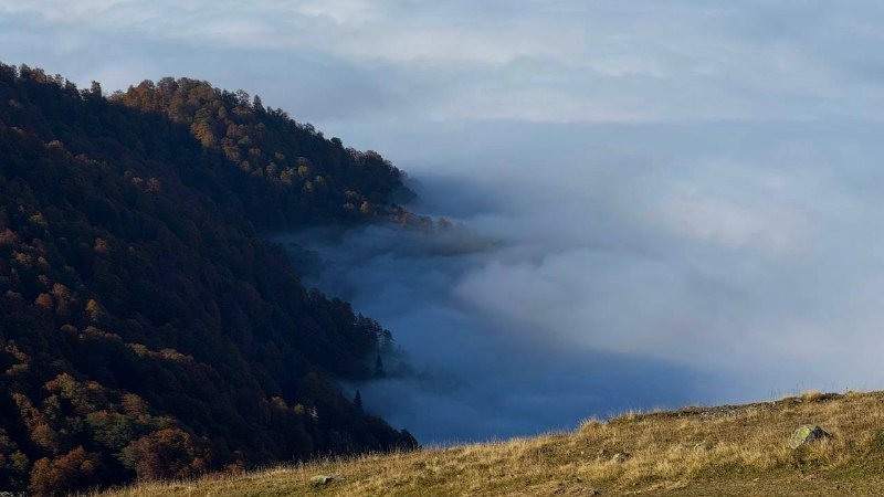 Хайкинг на гору Диди в Гомисмта с трансфером 2