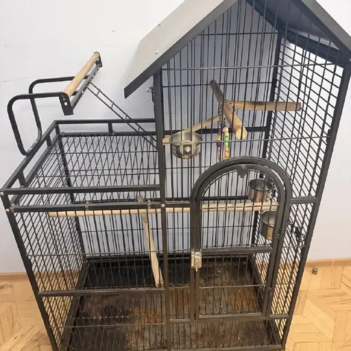 Клетка