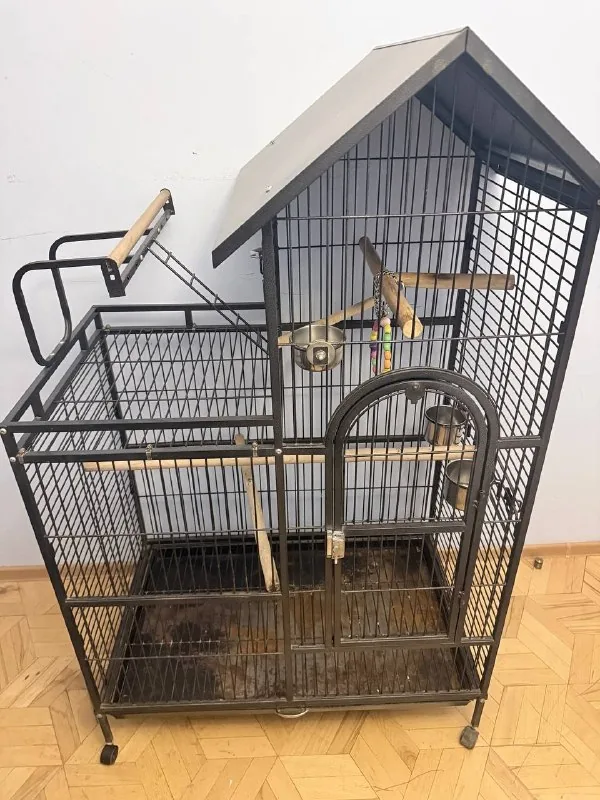 Клетка 1