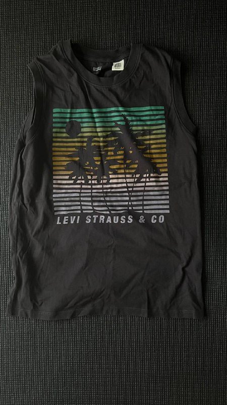 кроссовки Nike, майка Levi’s, кофта Tommy Jeans, платье Bershka, штаны Vans, тишка, мерч Simpsons, джинсы Tommy Jeans, юбка house of holland 2