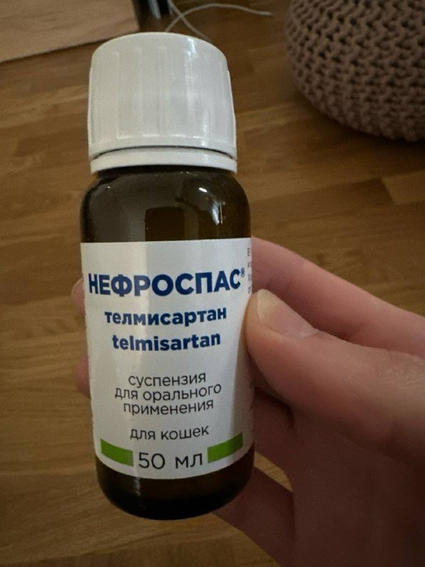 Телмисартан суспензия для кошек и собак