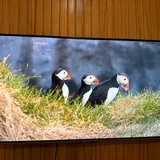 TCL 55P725 55 TV, Samsung 30 TV 2