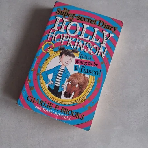 The Super-secret Diary of Holly Hopkinson