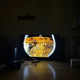 Телевизор Sony Bravia 8 OLED 55 дюймов 2