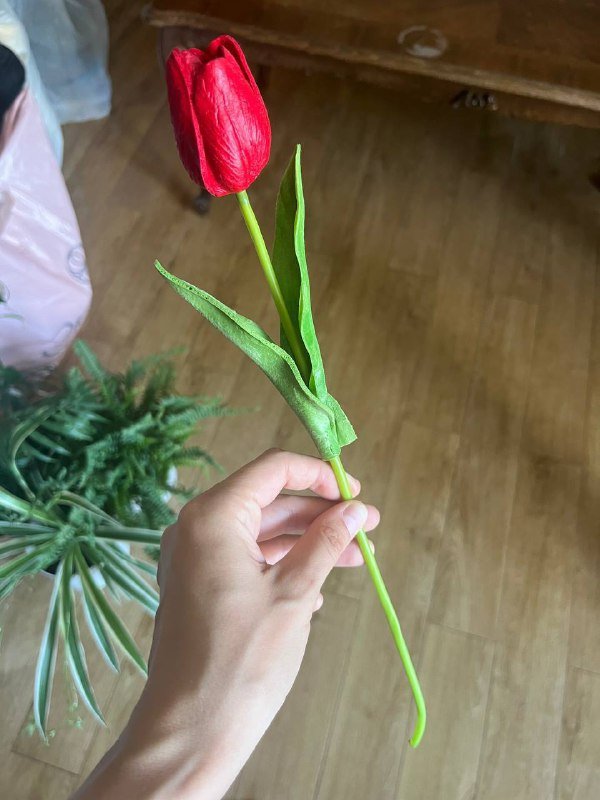 Горнолыжная куртка, горнолыжные штаны с подтяжками 6