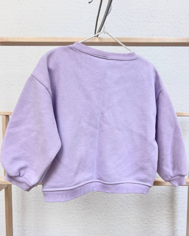 Свитшот с микро-начесом для детей 3-4 года, рост 104 2