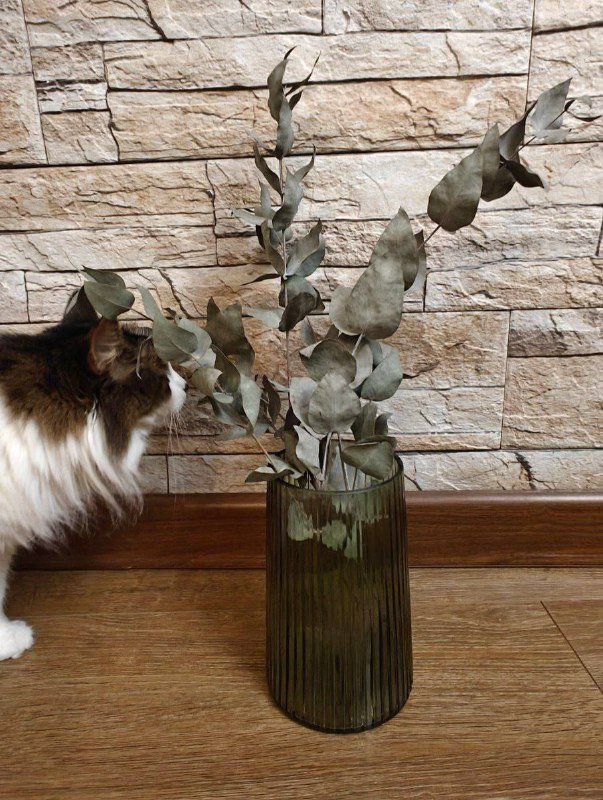 Увлажнитель воздуха Xiaomi 3