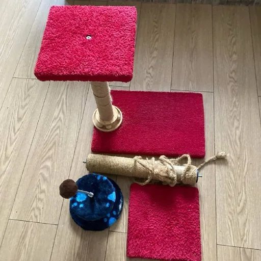 Лот для кота