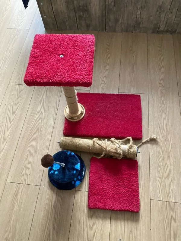 Лот для кота