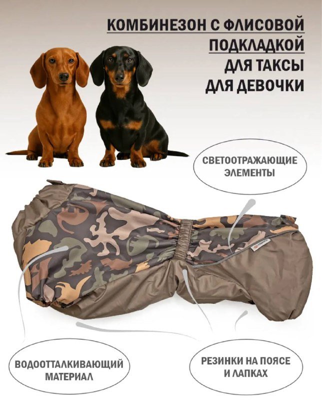 Куртка и комбинезон для мини-собаки или щенка 4