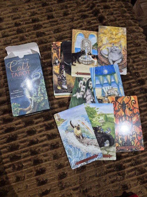 Настольные игры ЧПОК, Мемограм, New Phone, карты Таро Mythical Cats, открывалки Cap-Gun 4