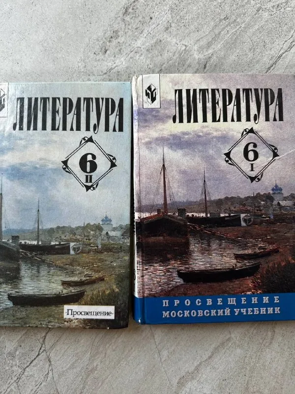 Учебник по литературе 6 класс в двух частях 1