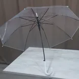 Прозрачный зонт 1