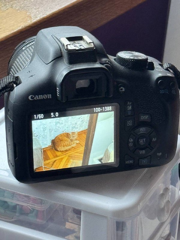 Цифровая зеркальная камера Canon EOS 1300D 4