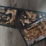 Tarot "Heaven and Earth," "The Light Seer’s," "Dark Grimoire" 4