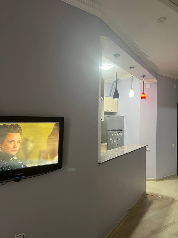 Квартира 2+1 на Инассаридзе в аренду 9