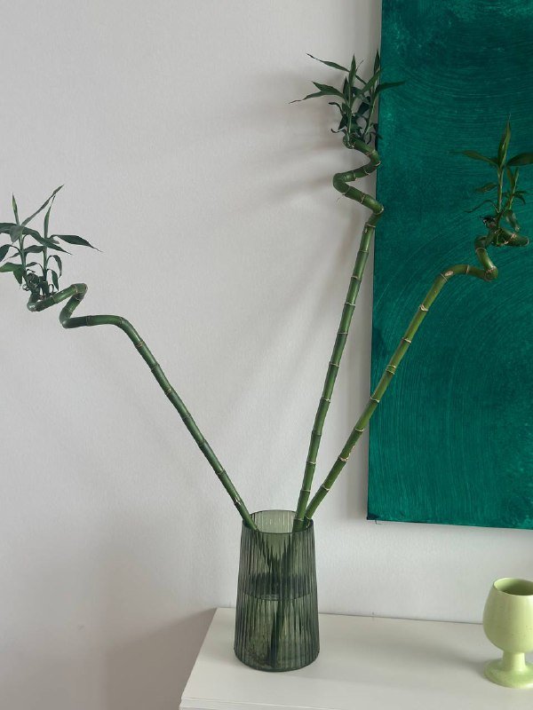 Соковыжималка, картины, вазы, стол, стулья, кушетка, гипсовая голова, стенд 5