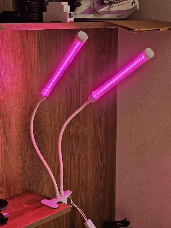 Фитолампа на прищепке