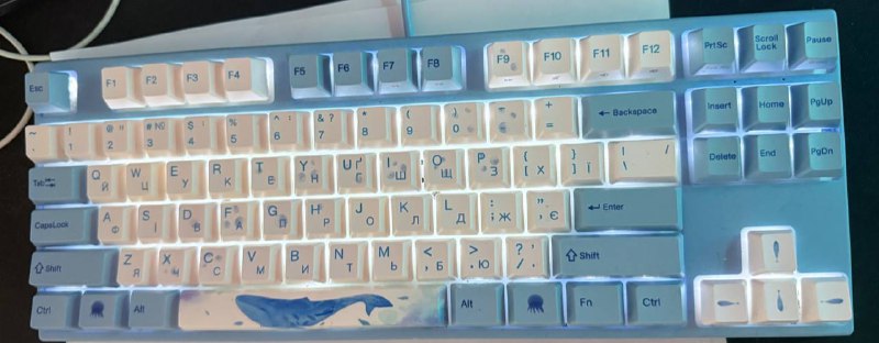 SteelSeries Aerox 3 mouse, Varmilo keyboard, Logitech G733 headset 2