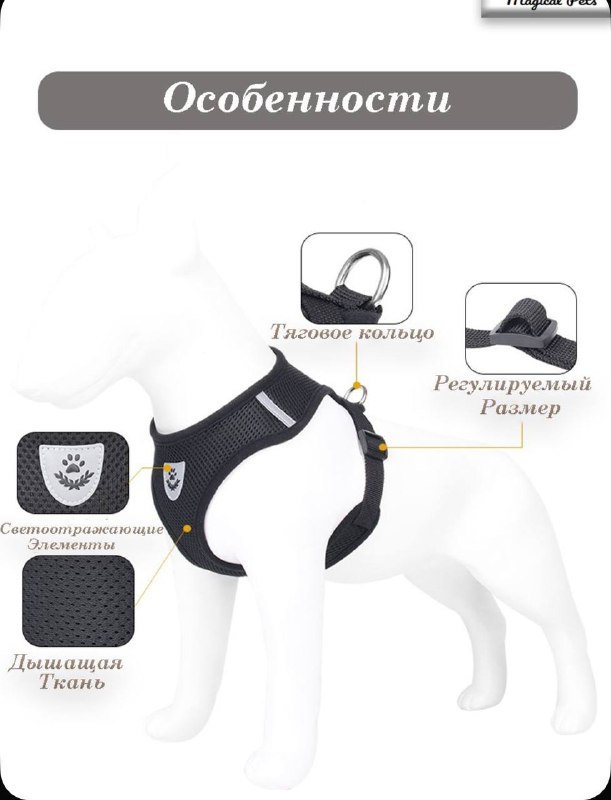 Шлейка с поводком для маленькой собаки или кошки 2