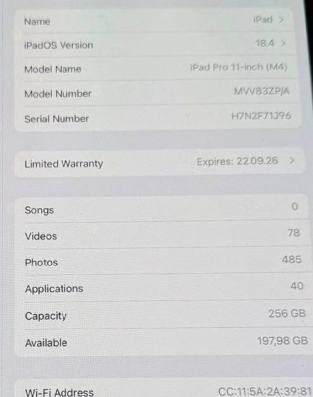 iPad Pro 11 M4 256 GB Wi-Fi Standard