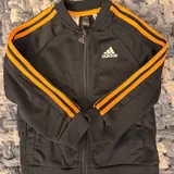 Шорты, олимпийка Adidas 2