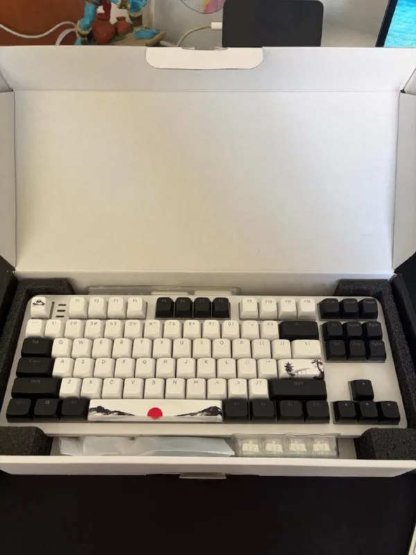 RK N80 Rosy Clouds, Dark Project Fuji II mechanical keyboards 1